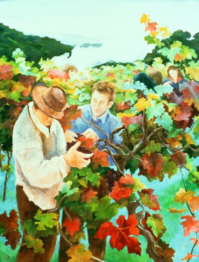Vendemmiatori, 1996 da Cristiana Angelini
